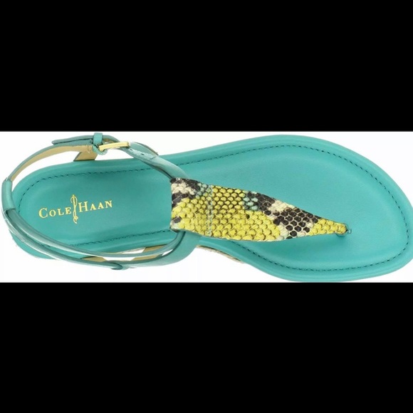 Cole Haan Shoes - Cole Haan snakeskin Sandals